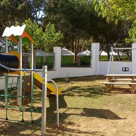 Kampaoh Internacional