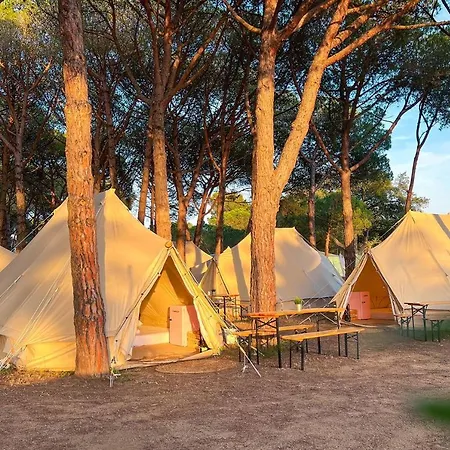 Glamping Kampaoh Internacional